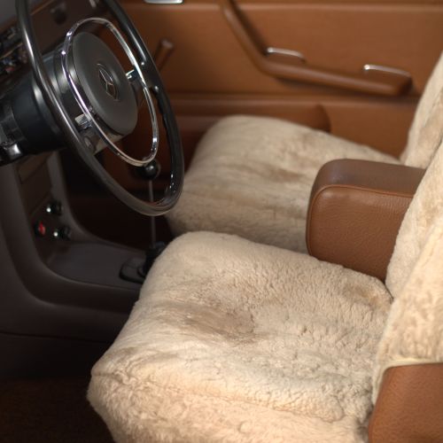 Mercedes-Benz 230.6 1970